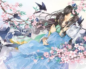 乳房夹住睾丸一晚上没事吧会怀孕吗